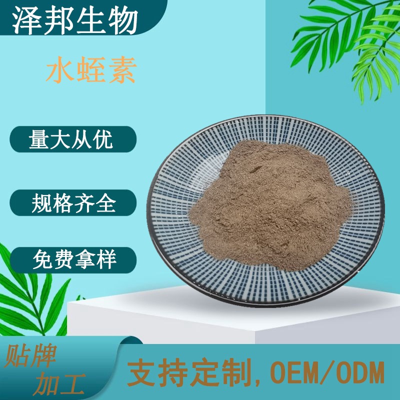 水蛭素1000ATU/g菲牛蛭提取物粉/冻干粉100g/袋包邮高含量食品级