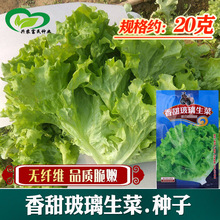 ���������˷N�����l �̨�����ļ����N�߲˷N�� �n�ķN��