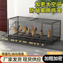 ���üӴ��u�\���Bֳ�����\�Z�\���\�ԄӝL���u�\��������F�z�\��