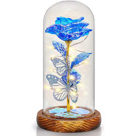 新品植物金箔花玻璃罩圣诞摆件三种模式灯七夕玫瑰礼物玻璃灯罩花