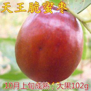 �������ۗ������ش���Ͷ������Ʒ�N�߮a�؄e���Ϸ������Nֲ