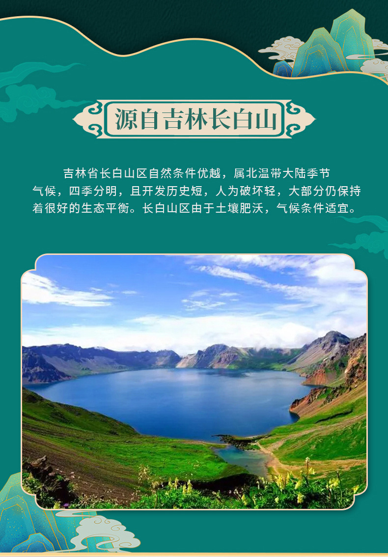 Dried Whole Ginseng Root Gift Box Changbai Mountain Sun Dried 5 Year Root for Cooking specifications