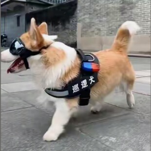 ���������K�ļ�͸������_�����д��ͽ�ë�_���{�R���o�lȮ�ױ�