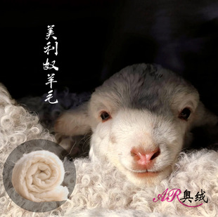 ��������ū��ë��Ƭ��ů������ܛ�H�w��ܛ혻����b�Ҽ����|���