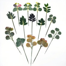 �羳��������֧�ȼ����~����~��c��Y�廨�bپG�~�������