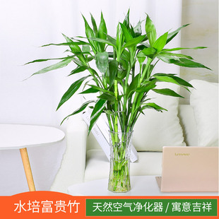 ���~���F�񹝹����^����ˮ���D�\��ˮ�B�����͏d��ֲؔ����������