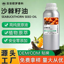 ɳ������ɳ������ե�ἃ���Ź����沿���A���w��˪�䷽�{�乩؛