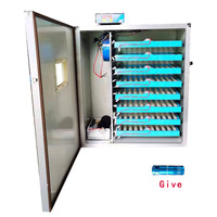 跨境货源小型孵化器全自动incubator家用智能双电源小鸡孵蛋器