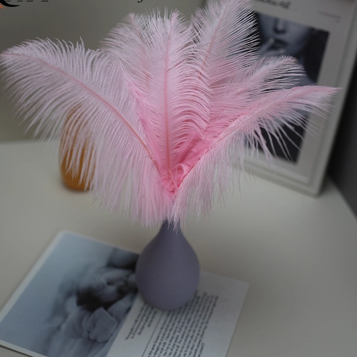 Plumas de avestruz bodas blancas de avestruz guía de plumas accesorios de fotos adornos rojo rosado en línea grandes plumas decoración