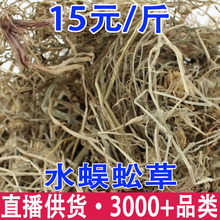 水蜈蚣 水蜈蚣草 金钮草 寒气草 三荚草批发代发