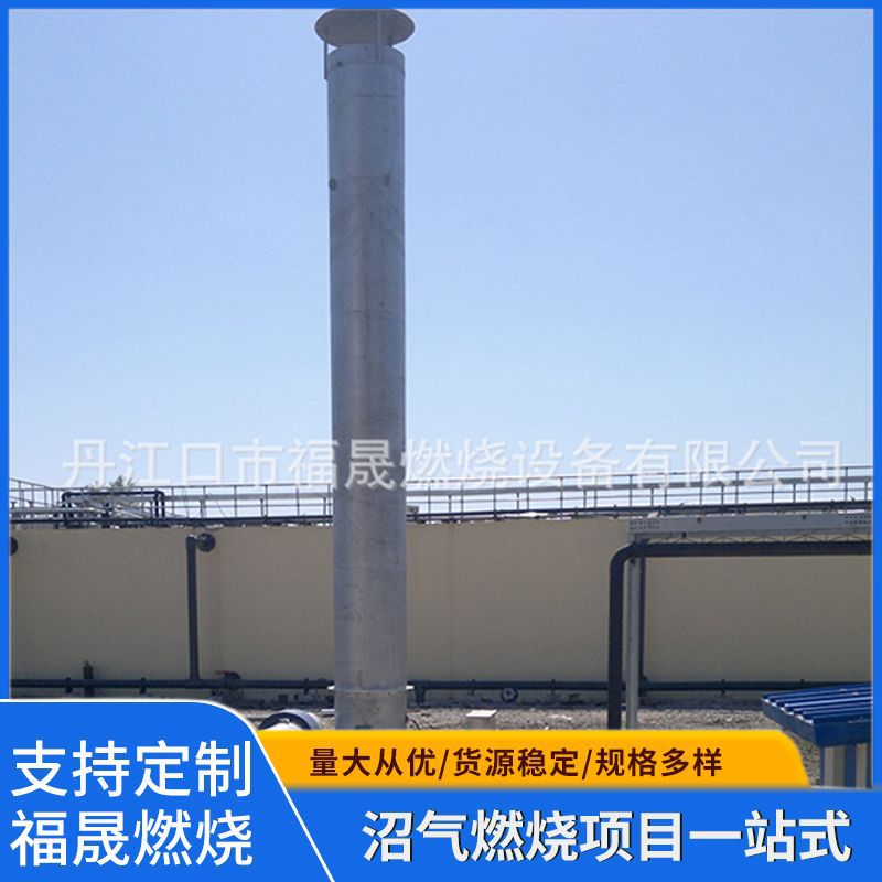 批发100-250 立方沼气燃烧器 沼气火炬沼气燃烧设备 废气燃烧器