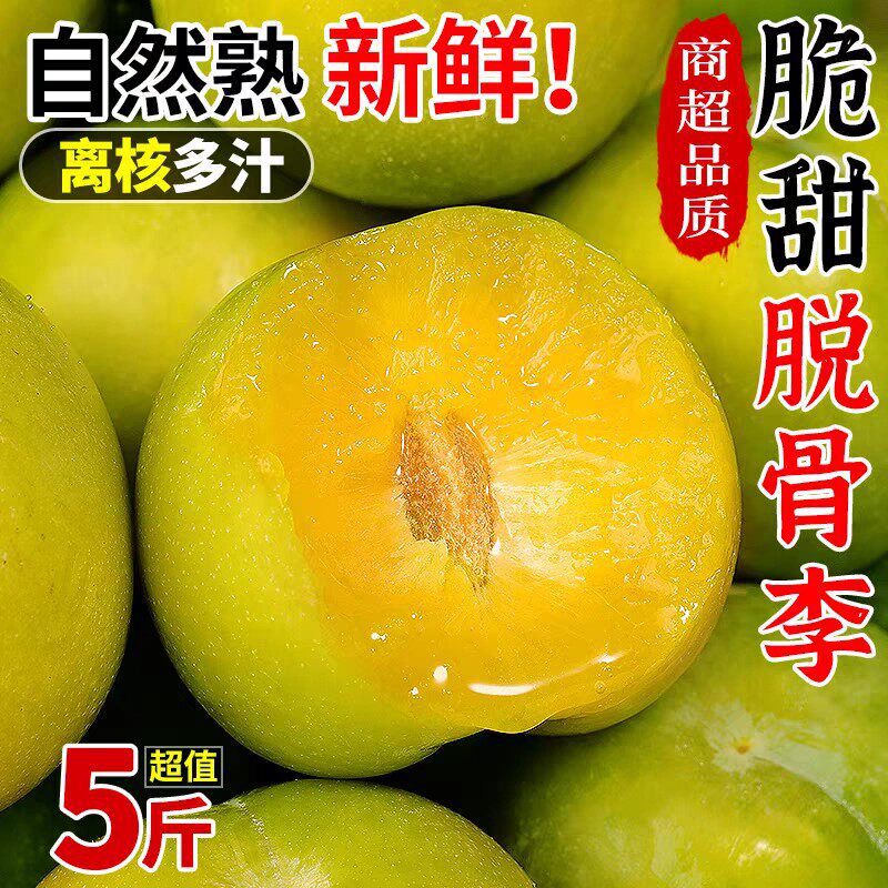 Freshly Picked Authentic Guizhou Boneless Plums, Fresh and Crisp, Sweet and Sour Green Plums from the Farm Freshly Picked Authentic Guizhou Boneless Plums, Fresh and Crisp, Sweet and Sour Green Plums from the Farm