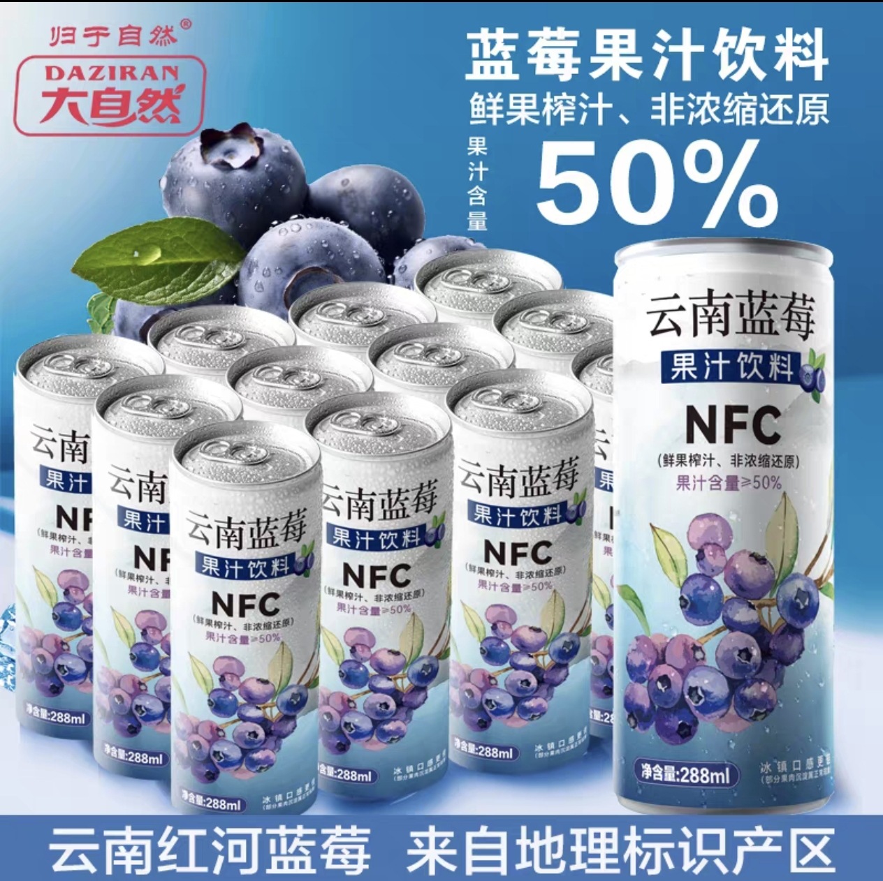 Nature's Blueberry Juice Drink - Yunnan Fresh Fruit Squeezed, Non-Concentrated, High Juice Content, Canned Beverage