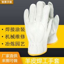 ��Ƥ늺������ձ��^����Ƥ����˾�C���׻��@�@ˇ��~�̿�ڱ��T��