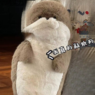 ����ë�q��߹���ܛ�Ȳ����ބ�����ż����˯�X���l