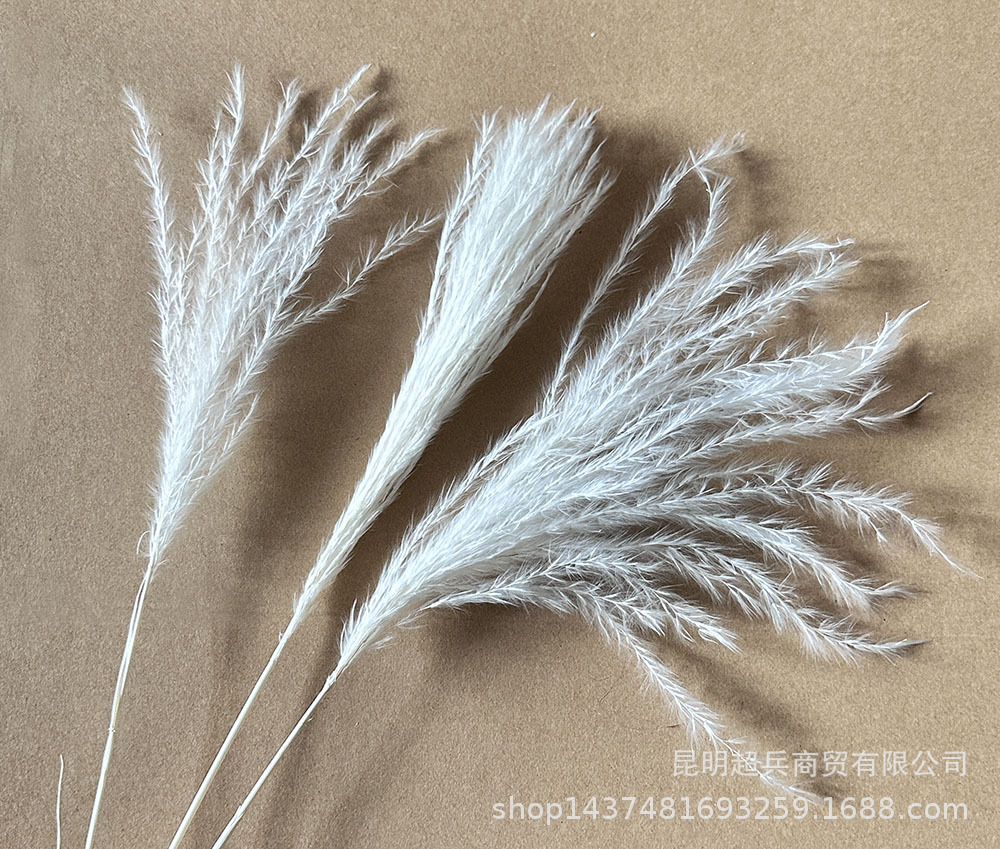 微信图片_20240318174736.jpg