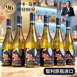 傲鱼智利原装原瓶进口红酒长相思干白葡萄酒水果酒整箱6瓶批发