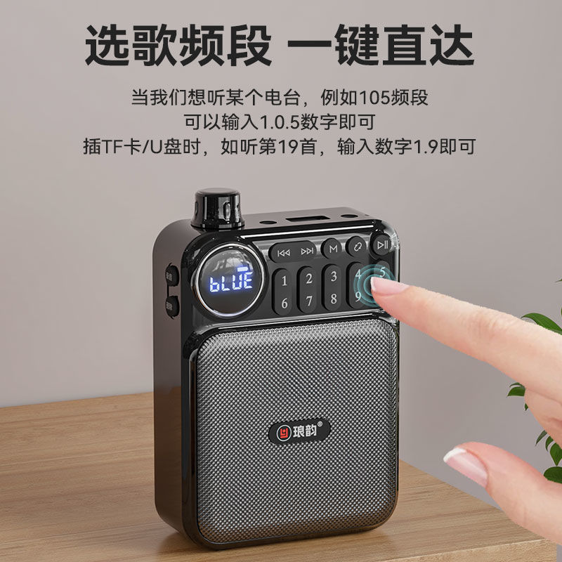 Langyun C75 Bluetooth カードオーディオラジオ大音量 U ディスクアンプ多機能ポータブルプレーヤー|undefined