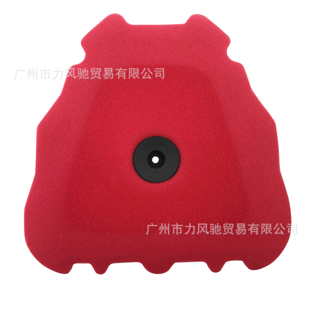 Aplicable para Yamaha YZ250F W250F WR450F XXF250 450 cartucho de filtro de aire esponja