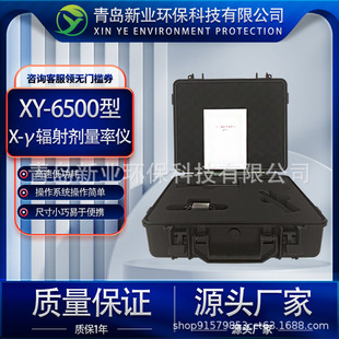 Color Large Screen Radiation Monitor Radiation Meter Multifunctional XY-6500 X-γ Radiation Dose Rate Meter
