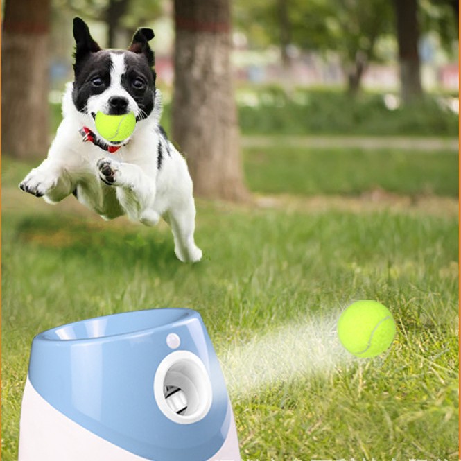 Máquina de lanzamiento de pelotas para mascotas tenis Especial 5CM Tenis de alta elasticidad perro juguete pelota de entrenamiento máquina de lanzamiento pelota de entrenamiento image 4