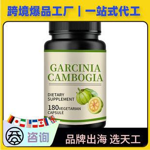 ���S���z����ȼ����ȡ��HCA���Ƭ��ȼƬ�羳���ӹ�