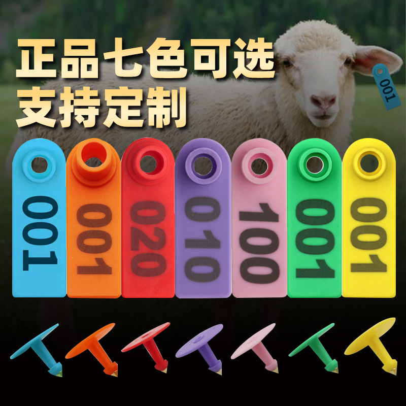 Ovejas etiqueta siete-color PE anti-caída de oído número placa veterinaria oído etiqueta alicates conjunto completo de equipo de identificación de cría de animales láser con palabras