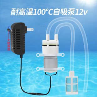 12v Small Water Pump High Temperature Resistant Water Change Pump Dc Self-priming Silent Diaphragm Pump Aquarium Water Cooling Circulation