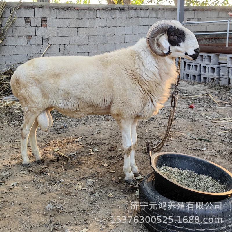 ECF8995A641627EF86445809553DE5