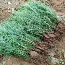 һ�����ؘ����� �Ȱؘ��� ��֦�� ����~ϴ�^�������ɘ�����