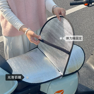 Reversible Seat Cushion, Free Shipping, Electric car cushion