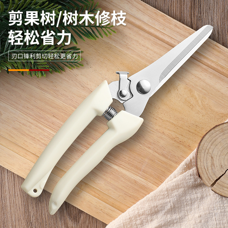 修枝剪树枝剪园艺剪园林弯头花园剪刀砂糖橘摘果剪刀弹簧剪