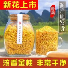 食用干桂花特产级桂林阳朔桂花茶清香桂花干散装商用烘焙奶茶泡酒