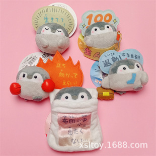 �ɐ��������϶����Zë�q����������b��F���������N��Ů�ĶY��