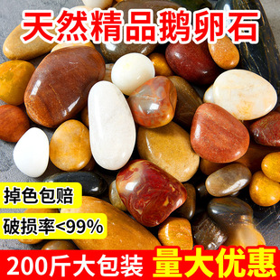 200���Z��ʯ���l䁵����ʯ�^����ͥԺ�껨ʯ�~���쾰��ɫ��ɫʯ