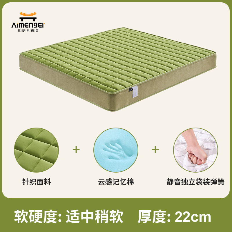 Z01 그린 체크무늬 플러스 소프트 22cm (롤백 스타일)