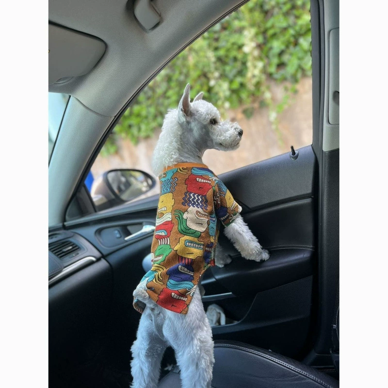 Весенне-осенний свитер с рисунком собаки в стиле граффити, Тедди, кошка, шнауцер, французский бульдог, маленькая собака, домашнее животное, весенне-летняя одежда
