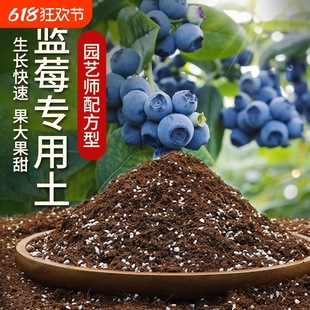 Blueberry Soil Potted Soil Blueberry Tree Nutrient Soil Fruit Tree Soil Planting Soil Organic Soil Fertilizer