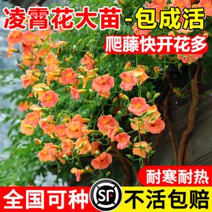 �ͺ���������������ֲ���Ϙ��̨���������ļ��_���B�����̻����l