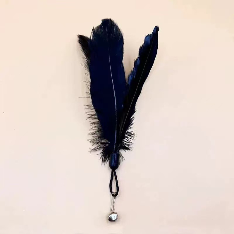 검은 깃털 교체 헤드