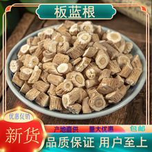 板蓝根野生中药材500克包邮 板兰根粉精选天然正品无硫大青叶根
