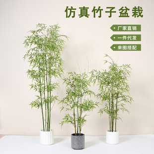 ����ʽ�������Ӽ����ӾG�������҃��b��辰ͥԺ���L�쾰�O���L