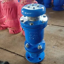 球墨铸铁 QB1单口排气阀 管道气体排除器