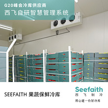 温度分区冷库自动调节高精度监控恒定冷藏柜冷柜