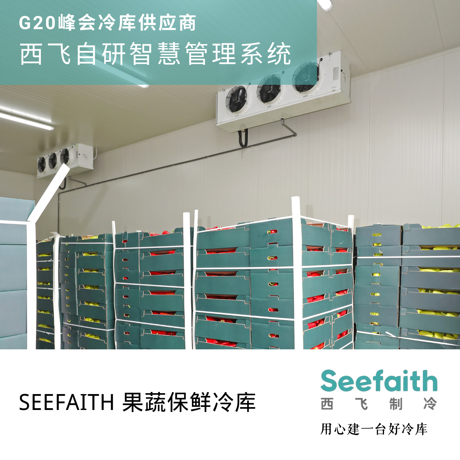 温度分区冷库自动调节高精度监控恒定冷藏柜冷柜