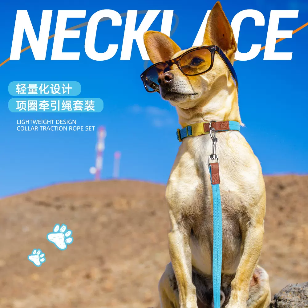 新款狗狗宠物项圈中小型狗项圈防挣脱宠物项圈狗狗牵引绳项圈套装