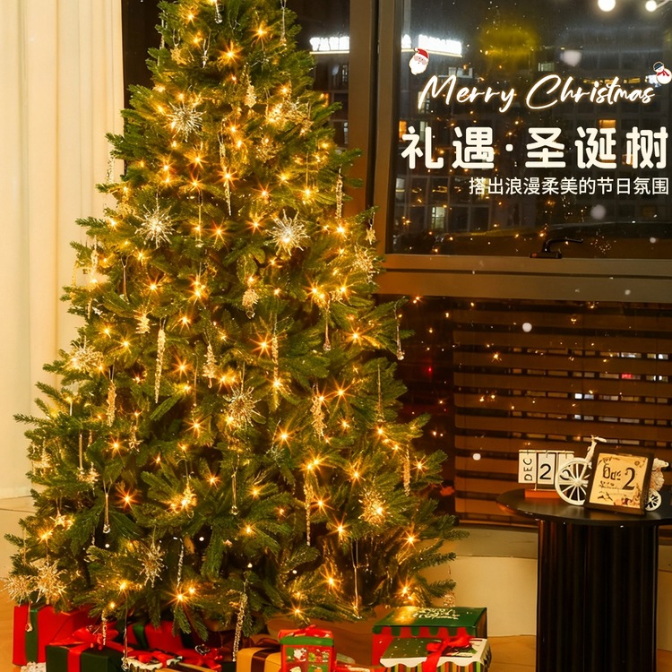 2025新款圣诞树客厅ins风纯pe加密家庭版圣诞节装饰品diy套餐