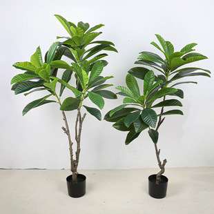 �������m����Ƥ���Ӣ��͏d������Է��b�ꙻ���Gɫ��ֲ�����~��