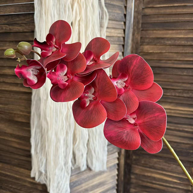 3D 호접란 7송이 - 레드 (또는 빨강)