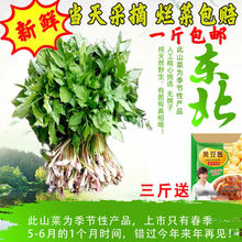 野生水芹菜 野生水芹菜品牌 图片 价格 野生水芹菜批发 阿里巴巴